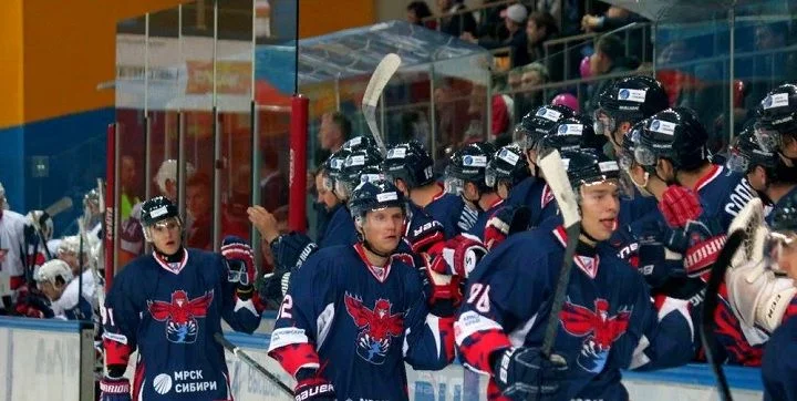 Барс - Сокол