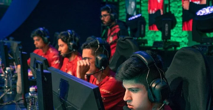 RED Canids - RED Canids -