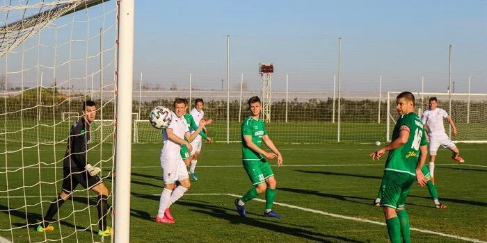 Рух Брест - Городея