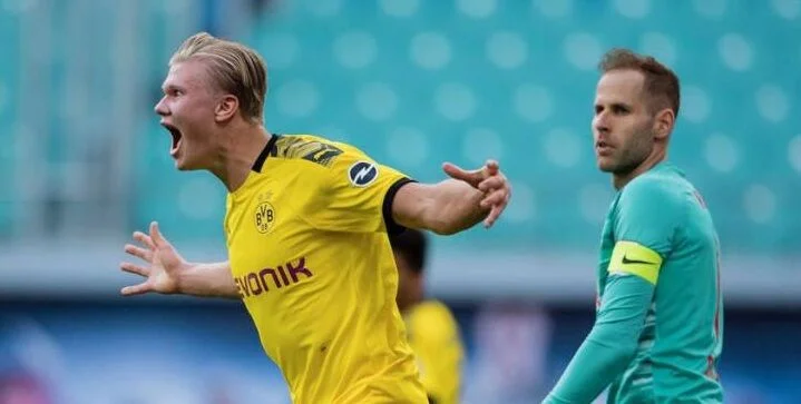 Боруссия Д - Хоффенхайм