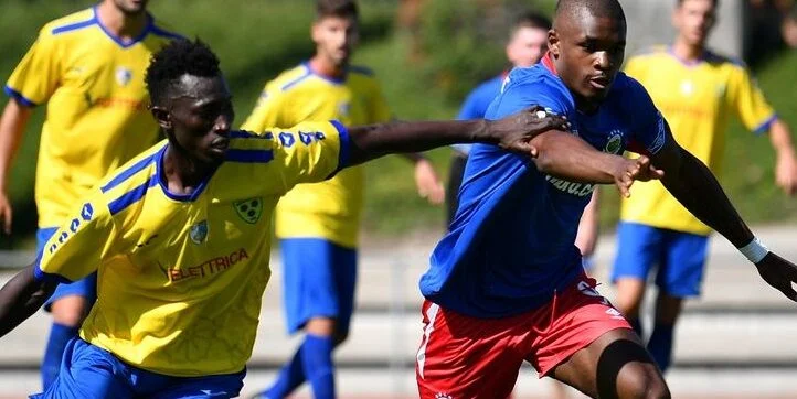 Целе - Дандолк