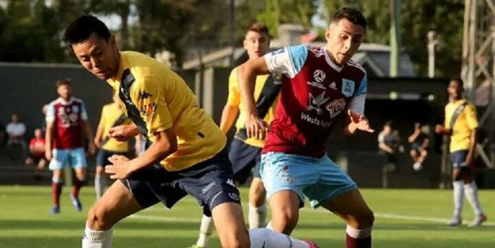 АПИА Тайгерс - North Shore Mariners АПИА Тайгерс - North Shore Mariners