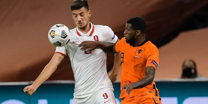 Босния и Герцеговина - Польша