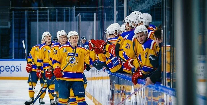 Химик - Динамо С-Пб