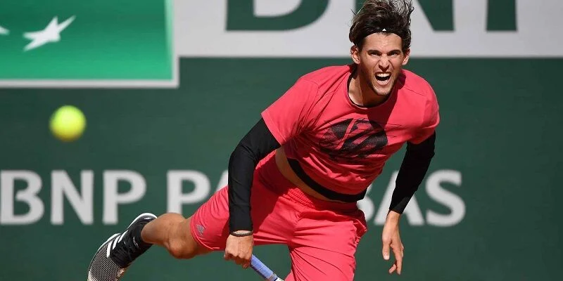 Марин Чилич - Доминик Тим