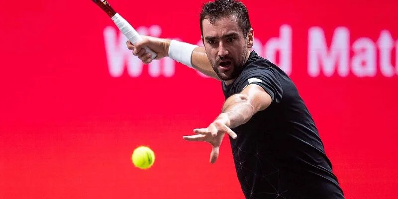 Алехандро Давидович Фокина - Марин Чилич