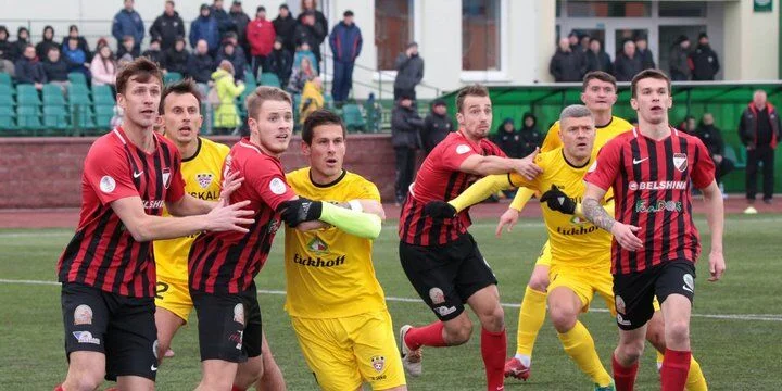 Славия-Мозырь - Белшина