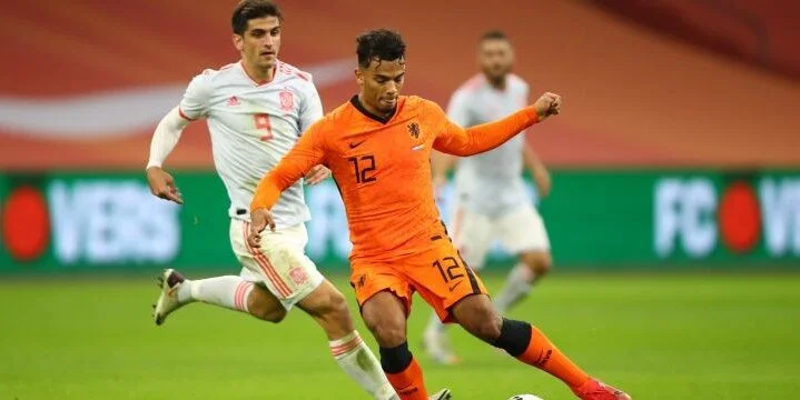 Нидерланды - Босния и Герцеговина