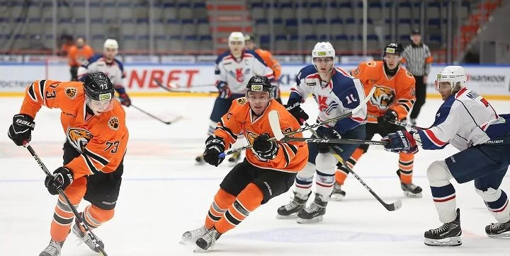 Амурские Тигры - Русские Витязи