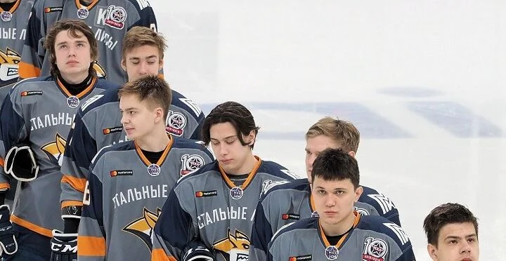 Стальные Лисы - Чайка