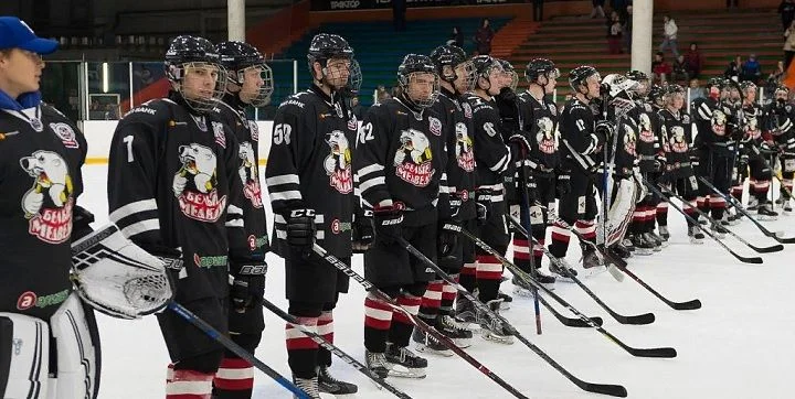 Белые Медведи - Стальные Лисы Белые Медведи - Стальные Лисы