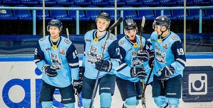 Сибирские Снайперы - Тюменский Легион