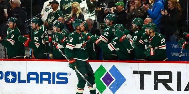 Анахайм - Миннесота