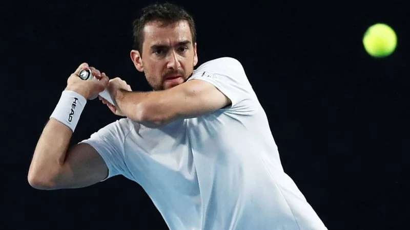 Таро Даниэль - Марин Чилич