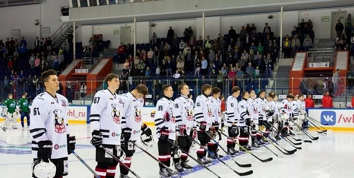 Белые Медведи - Стальные Лисы