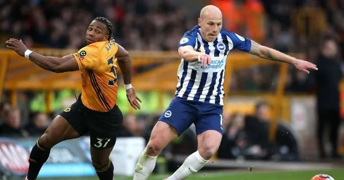 Вулверхэмптон - Брайтон