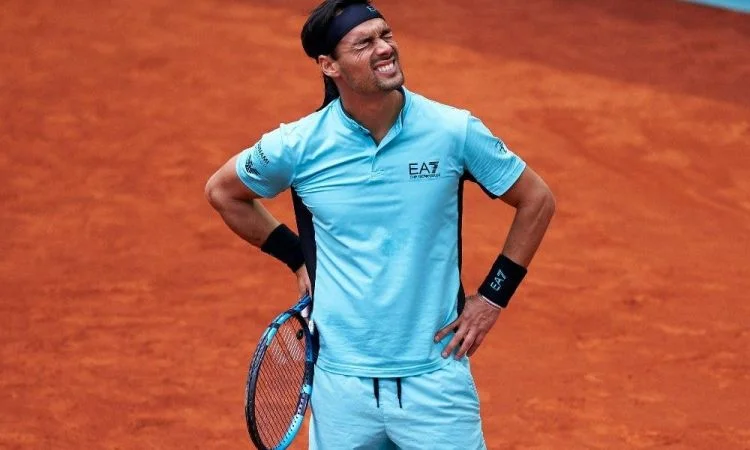 Фабио Фоньини - Грегуар Баррер