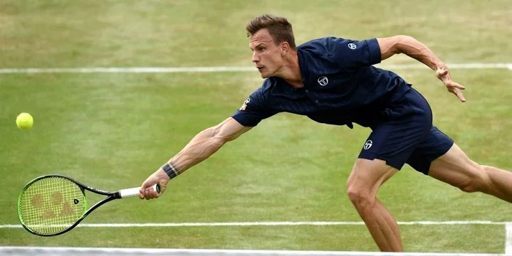 Мартон Фучович - Янник Синнер